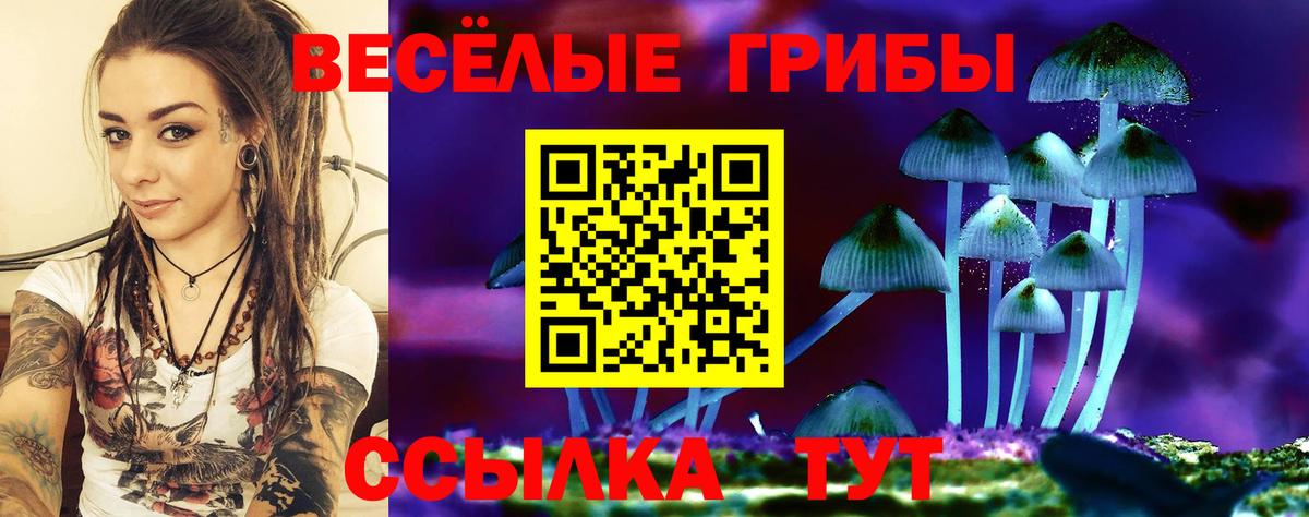 Псилоцибиновые грибы Psilocybine cubensis Шарыпово